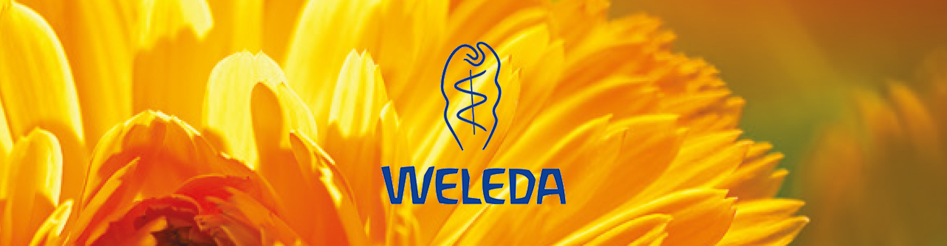 WELEDA Catálogo de productos