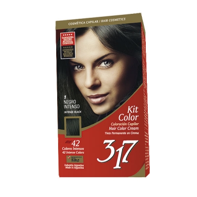 317 Kit De Coloracion - 1 Negro Intenso