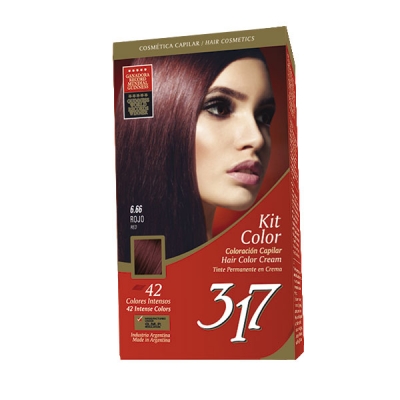 317 Kit De Coloracion - 6.66