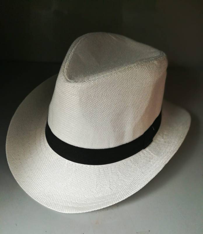 Sombrero Panama